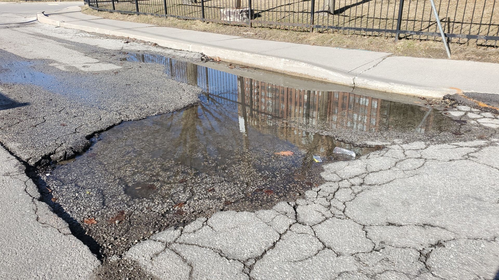 Cracked Parking Lots Cost You: How Neglected Asphalt Leads to Lawsuits